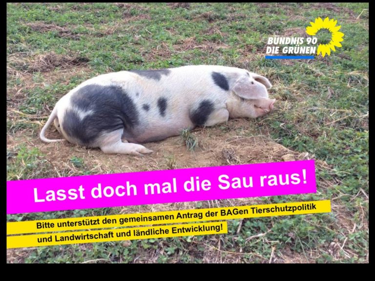 Tiere in der Landwirtschaft – eine Frage der Haltung!