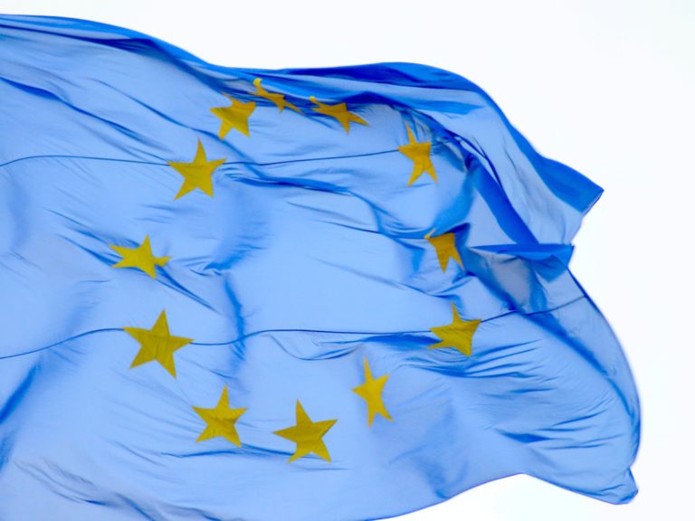 Antrag: Grüne Eckpunkte für die Gemeinsame Agrarpolitik der EU nach 2020